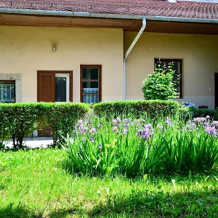 Afrodite Apartmanok Eger Exterior foto